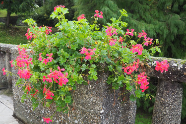 Similar image 21390299