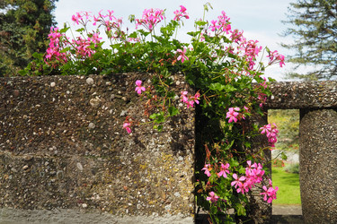 Similar image 21390642