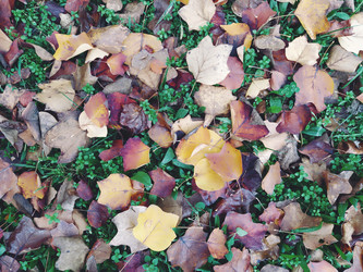 Similar image 21416133