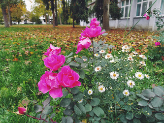 Similar image 21416207