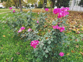 Similar image 21416209