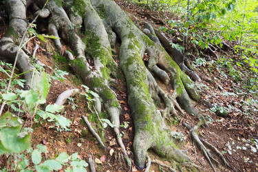 Similar image 21416368