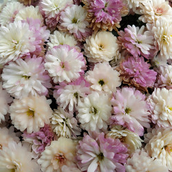 Similar image 21416385