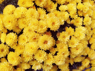 Similar image 21416577