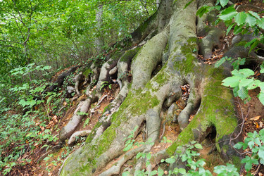 Similar image 21416583