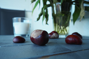 Similar image 21416584