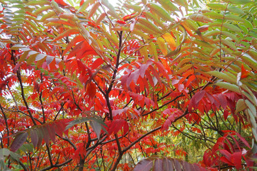 Similar image 21417370