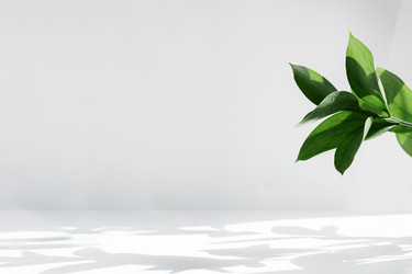 Similar image 21421471