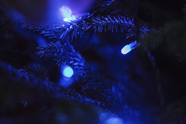 Similar image 21421473