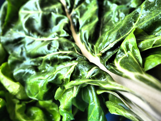 Similar image 21389155