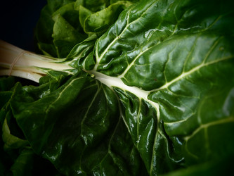 Similar image 21389156