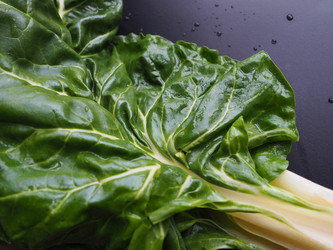 Similar image 21389157