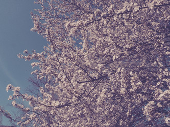 Similar image 21390303