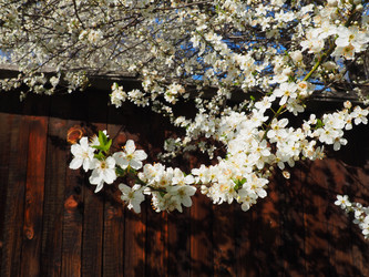 Similar image 21390304