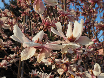 Similar image 21390305