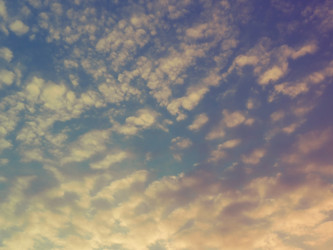 Similar image 21390321