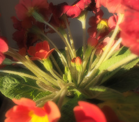 Similar image 21390325