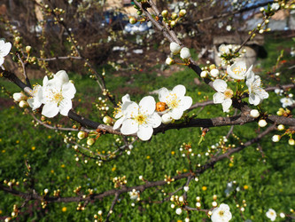 Similar image 21390662