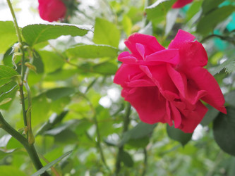 Similar image 21416215