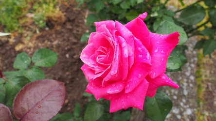 Similar image 21416217