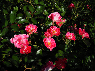 Similar image 21416386