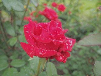 Similar image 21416591