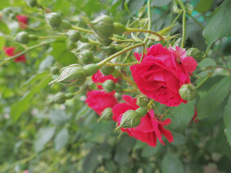 Similar image 21416592