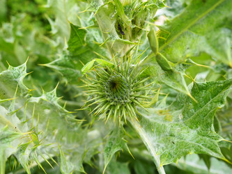 Similar image 21416594