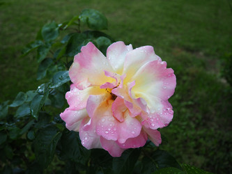 Similar image 21416597