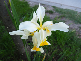 Similar image 21416599