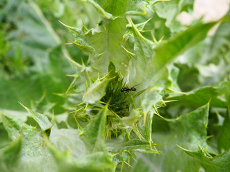 Similar image 21417053