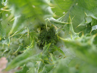 Similar image 21417055