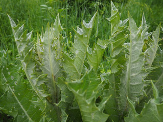 Similar image 21417058