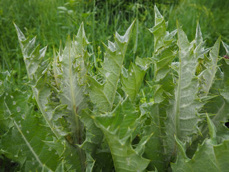 Similar image 21417060