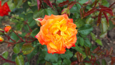 Similar image 21417061