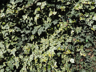 Similar image 21417065