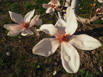 Similar image 21417374