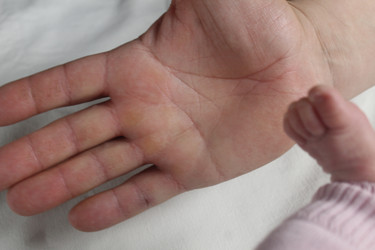 Similar image 21412550