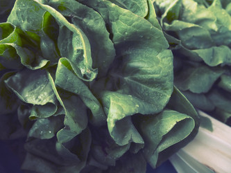 Similar image 21417848