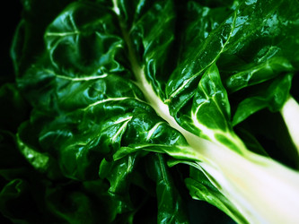 Similar image 21417849