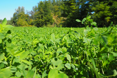 Similar image 21390328