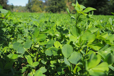 Similar image 21390329