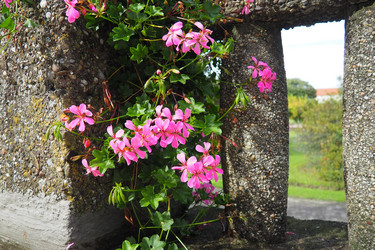 Similar image 21390663