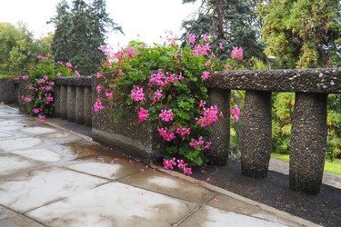 Similar image 21390664