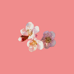 Similar image 21417381