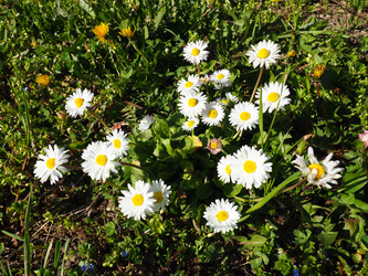 Similar image 21417855