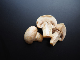 Similar image 21417859