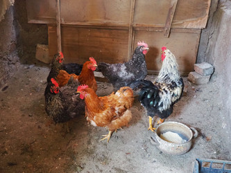 Similar image 21417863