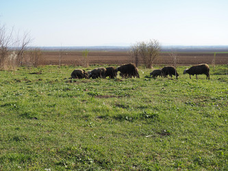 Similar image 21418246