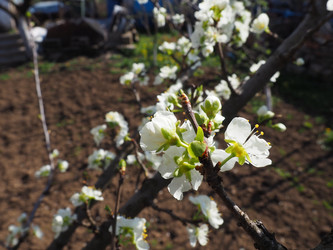 Similar image 21418247